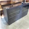 Image 2 : BLACK MODERN GLASS DOOR CABINET