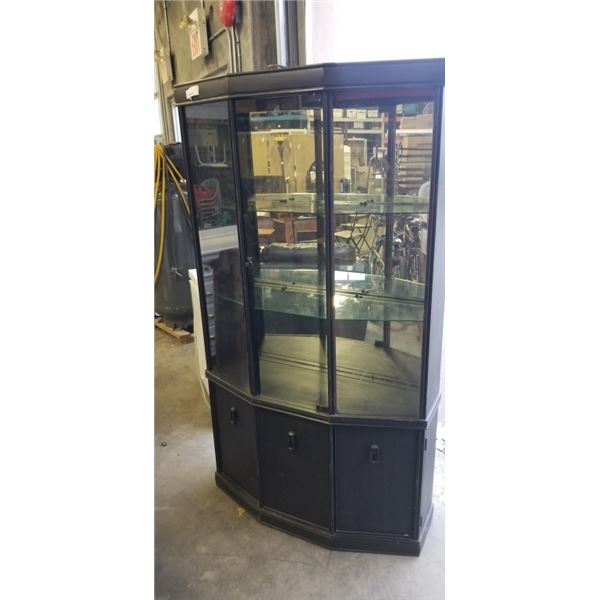 ILLUMINATED CURIO CABINET