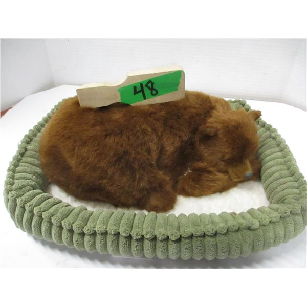 SLEEPING BEAR C/W BED
