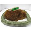 Image 1 : SLEEPING BEAR C/W BED