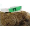 Image 3 : SLEEPING BEAR C/W BED