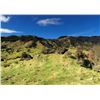 Image 18 : New Zealand Red Stag Hunt for 6 Hunters.  Bonus Long Range Goat Cull Hunt!