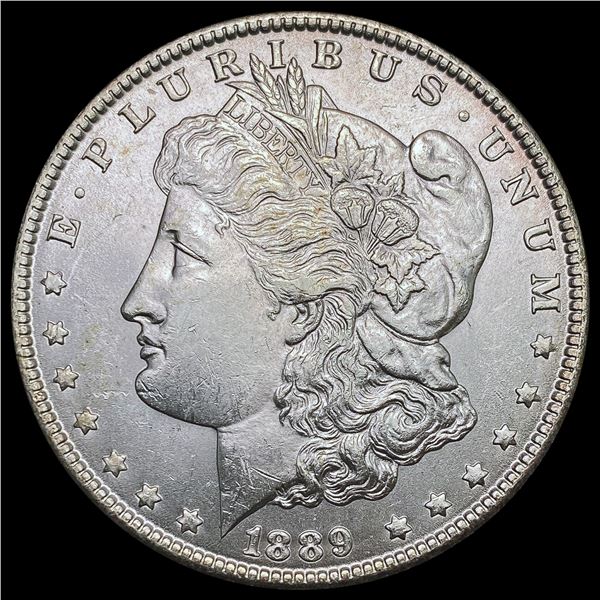 1889 Morgan Silver Dollar CHOICE BU