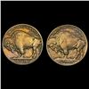 Image 2 : 1913 T1/1913 T2 [2] Buffalo Nickel UNCIRCULATED