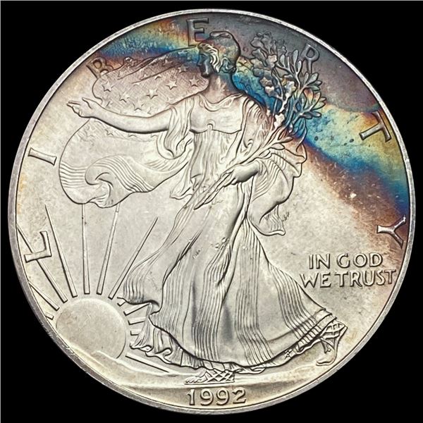 1992 Toned American Silver Eagle SUPERB GEM BU