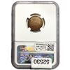 Image 2 : 1931-S Wheat Cent NGC XF45 BN