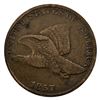 Image 10 : 1857-1858 Flying Eagle Cent Lot [5 Coins] Fine
