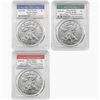 Image 1 : 2020 1st Strike American Silver Eagle Set [3 Coins] PCGS MS69