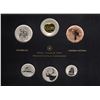 Image 1 : 2014 Specimen Set, Ferruginous Hawk
