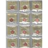 Image 1 : PCCS 1¢, 14 coin Lot All MS65, Professional Coin Certification System