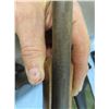 Image 3 : Springfield Westfield M # 187J  22HS Rifle -(Cannot Locate S # )