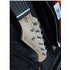 Image 2 : Donner Standard Electric Guitar w/Soft Case