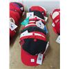 Image 1 : Collector Ball Cap - 25