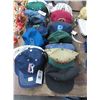 Image 1 : Collectible Ball Caps - 25+