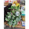 Image 1 : Asst. Silk Flowers