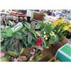Image 2 : Asst. Silk Flowers