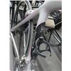 Image 3 : Trek Ladie's Carbon Road Racing Bike