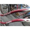 Image 2 : Elite Classic Cruiser Bike