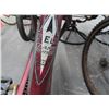 Image 3 : Elite Classic Cruiser Bike