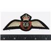 Image 1 : #222 ROYAL CANADIAN AIR FORCE PADDED PILOTS WINGS