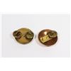 Image 2 : #250  UNITED STATES MILITARY ARMY COLLAR DEVICE