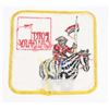 Image 2 : #313 RCMP FORT CALGARY INSIGNIA TOURIST CREST