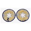 Image 2 : #317 PAIR GLOBAL EMERGENCY MEDICAL SERVICES PATCH