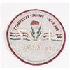 Image 2 : #319 47 TRAFIC LARGE PATCH CREST INSIGNIA