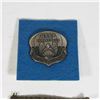 Image 2 : UNITED STATES AIR FORCE PARARESCUE BADGE