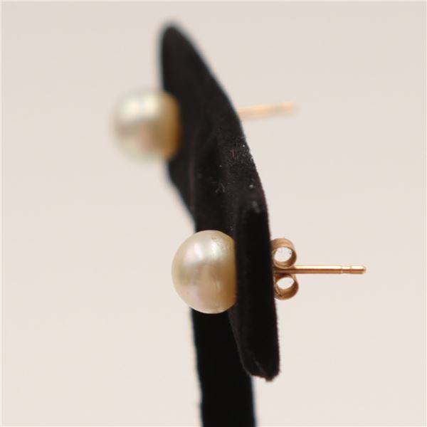 Pearl Earing Studs