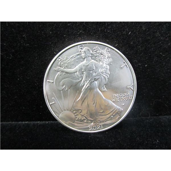 20 2021 Uncirculated Silver Eagles