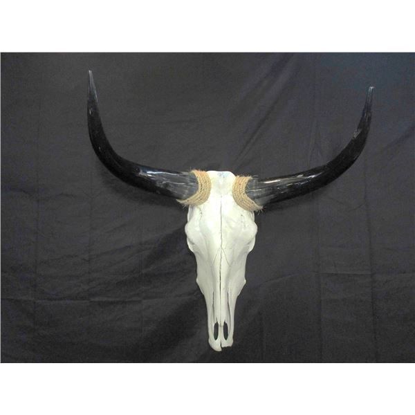 Decorative Steer Head- 23"