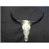 Image 1 : Decorative Steer Head- 23"