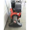 Image 2 : DR Lawn Sweeper- Briggs And Stratton Motor- 25"- Very Good Condition