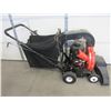 Image 3 : DR Lawn Sweeper- Briggs And Stratton Motor- 25"- Very Good Condition