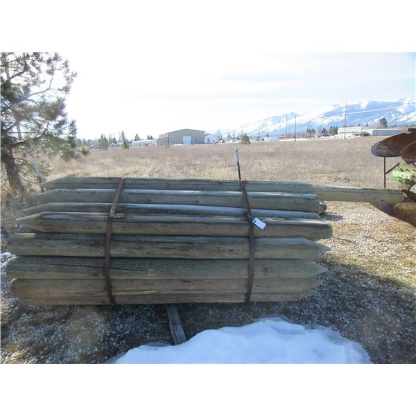 37 8' X 6" Treated Pointed Posts