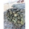 Image 2 : 37 8' X 6" Treated Pointed Posts