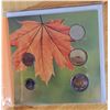 Image 2 : RCM 2013  O Canada Coin Set