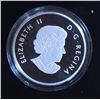 Image 3 : RCM 2013 Fine Silver “Winter Scene” Coin.