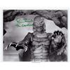 Image 1 : Ricou Browning signed photo Creature of Black Lagoon