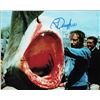 Image 1 : Richard Dreyfuss signed photo JAWS