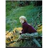 Image 1 : Hayley Mills signed photo