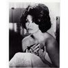 Image 1 : Sophia Loren signed photo