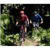 Image 2 : NEW Player 2.0 - 27.5" Small - Grey - bike shop quality. READ THE OWNERS MANUAL OR GET A PROFESIONAL