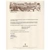 Image 11 : Louis Vrancken Engraved Belgium Browning Superposed Pointer Grade Shotgun