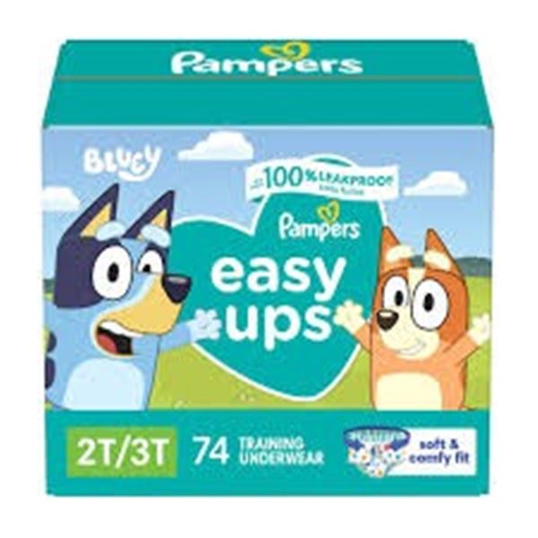 4 TRAINING UNDERWEAR PAMPERS 2T-3T BLUEY