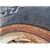 Image 5 : RP Vicon 10 Wheel Rake s/n 5900000522