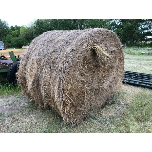 EP (So much each x 15) 15- Hay bales (mixed) from 2024, Approx. 1500 lbs