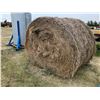 Image 2 : EP (So much each x 15) 15- Hay bales (mixed) from 2024, Approx. 1500 lbs