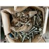 Image 4 : 12- Containers of shovel bolts & nuts